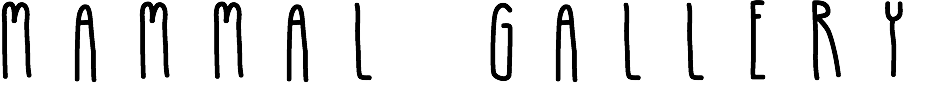 MAMMAL GALLERY